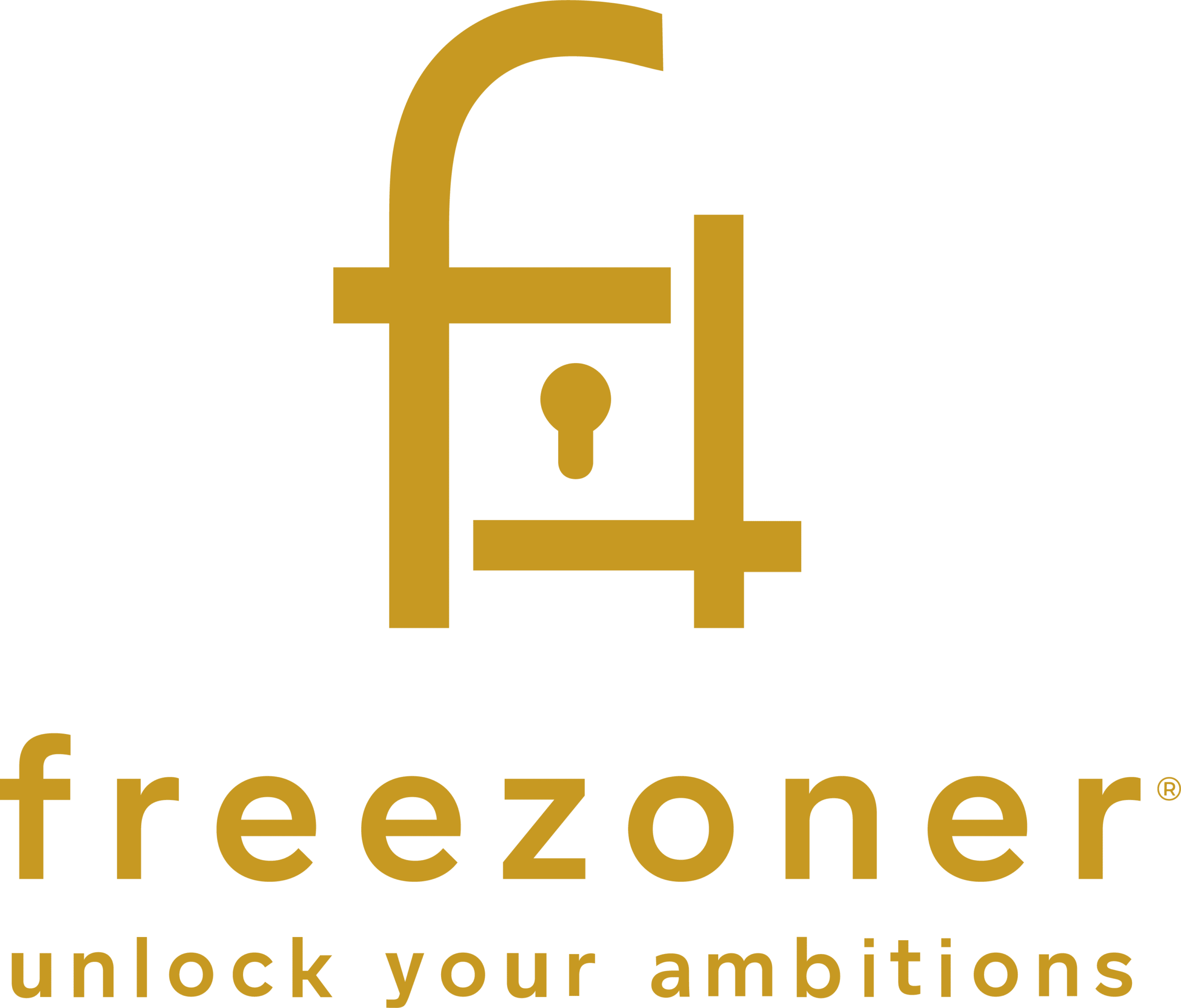 FREEZONER CORPORATE SERVICES PROVIDER